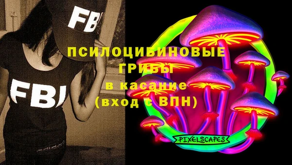 гидропоника Магас