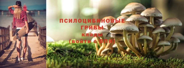 хмурый Майский
